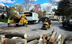 Leaf Removal in Ellsworth, WI